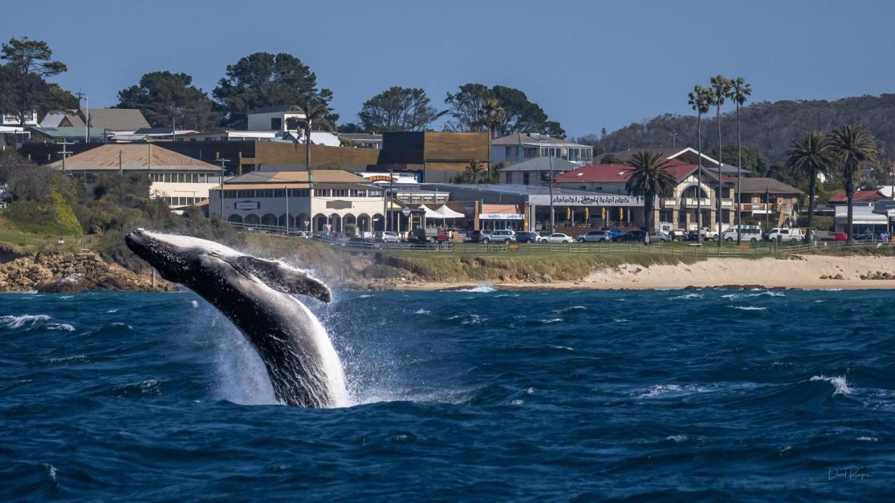 Bermagui Beach Hotel Exterior foto